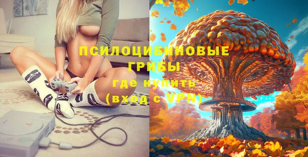 молекула духа Семёнов