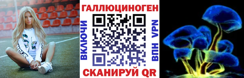 Купить где  Сегежа  Галлюциногенные грибы Psilocybe 